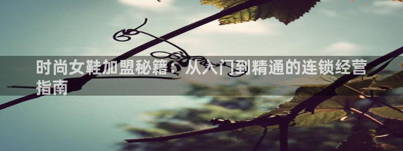 ag真人百家家乐平台