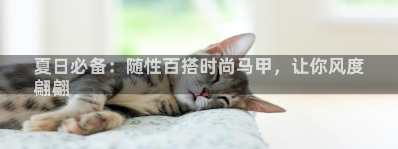 真人在线