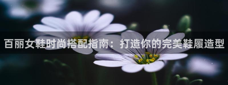 真人ag