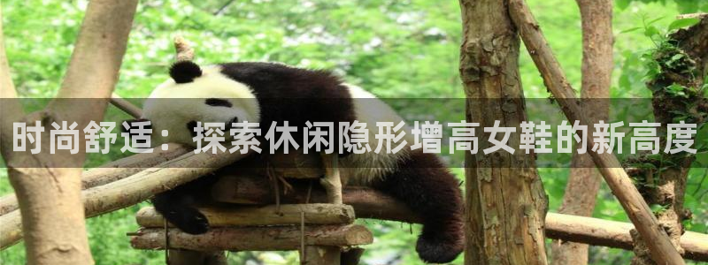 ag真人游戏平台
