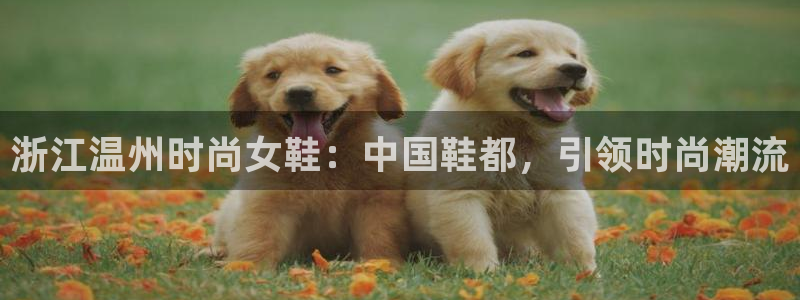 ag真人旗舰厅