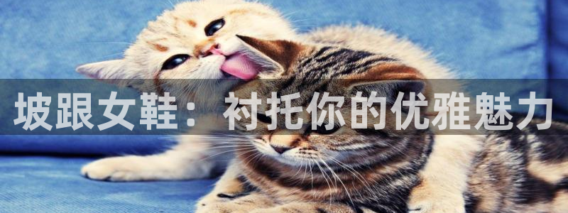ag真人视讯