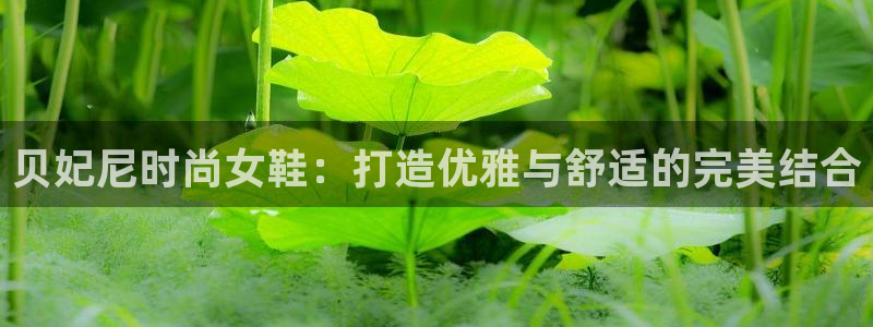 ag真人官方网站是什么