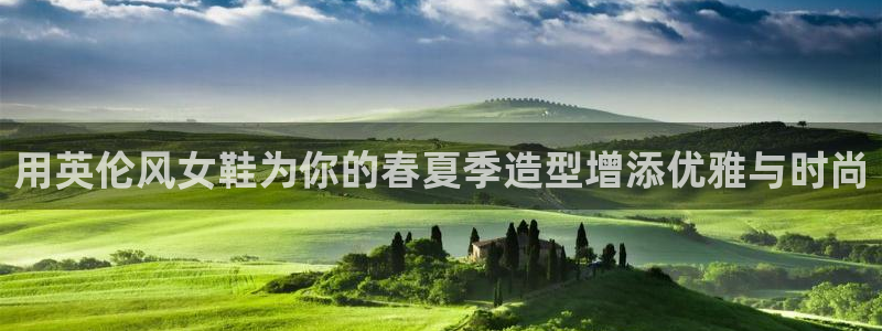 九游会ag真人官网