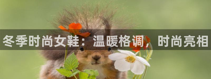 ag真人百家家乐平台