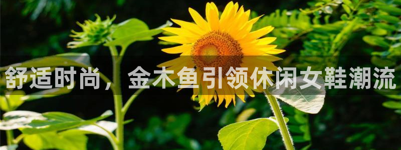 ag真人百家家乐平台